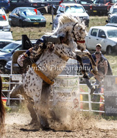 Bungendore2011_0436