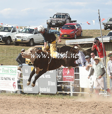 BungendoreRodeo2013_2249