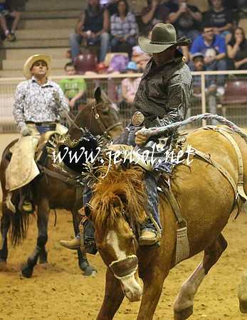 RealDealRodeoNov2013_0810