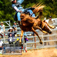 Bareback