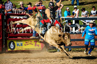 All Bulls