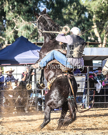 TumutRodeo2014_3170
