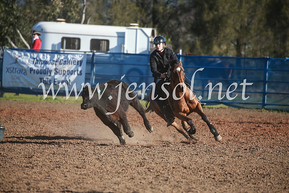 CCCampdraft2016_6444