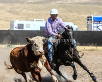 AdaminabyCampdraft2015_0603