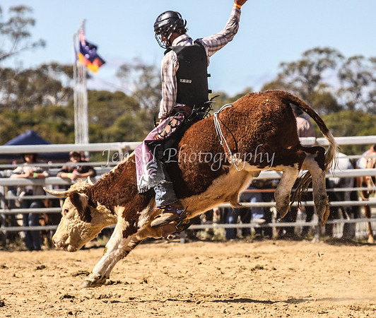 IMG_0098Jindy
