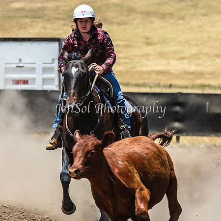 AdaminabyCampdraftSun2015_3169