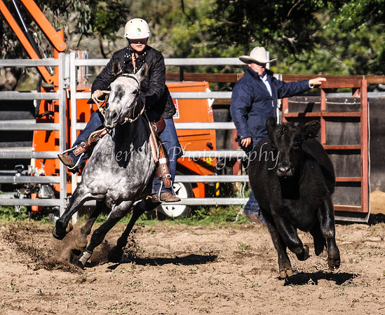 IMG_0193Jugiong1
