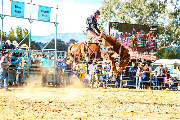 TumutRodeo2017_1587