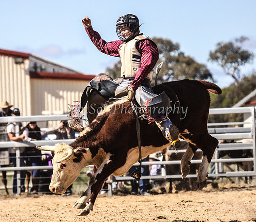 IMG_0214Jindy