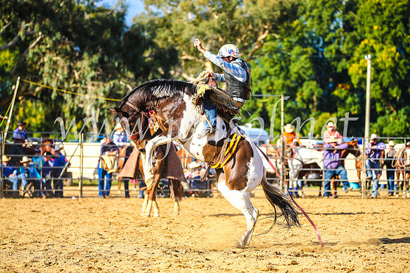 TumutRodeo2017_2572