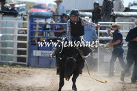 Steers
