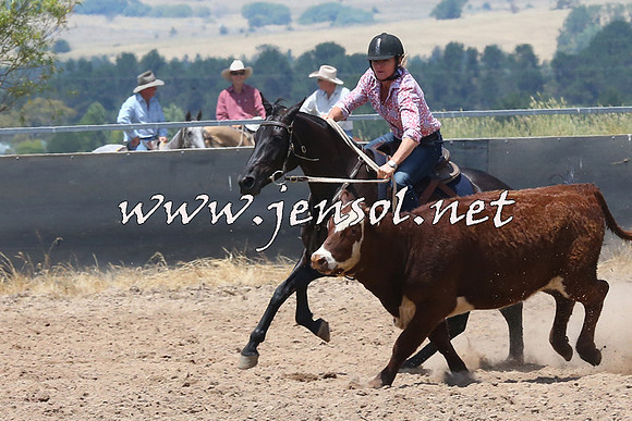 BraidwoodCampdraft2014_0927