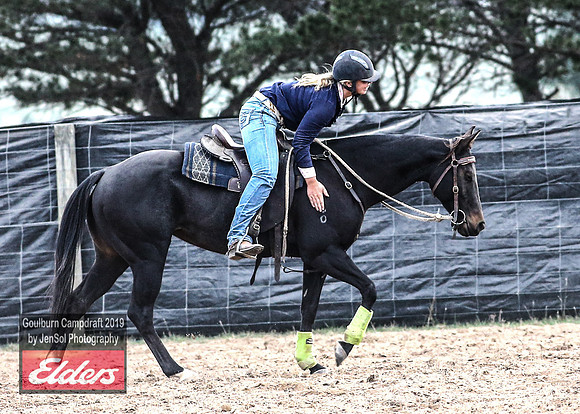 GoulburnCampdraft2019_5193