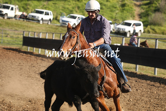 MossValeCampdraft2013_1031