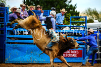 Open Bulls