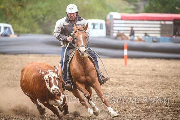 NimmitabelCampdraft2017_3326