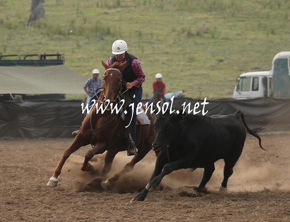 CabanandraCampdraft2013_1D_0001