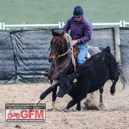 GoulburnCampdraft2019_8125