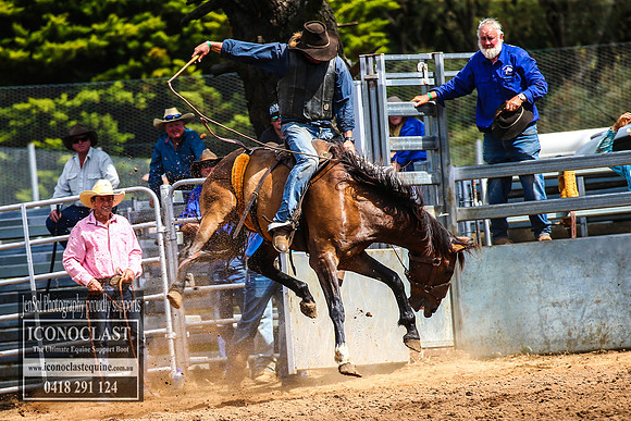 TaralgaRodeo2018_6131