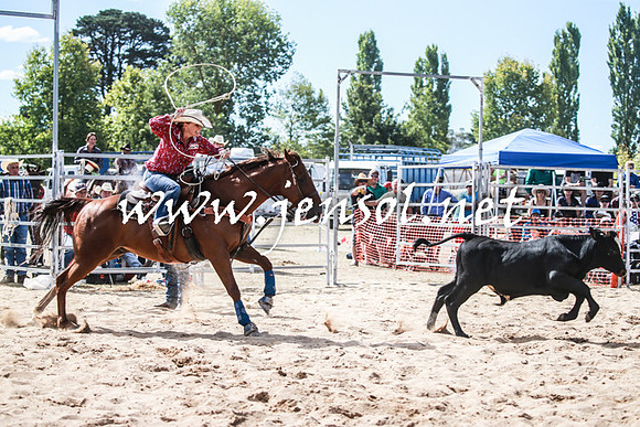BraidwoodRodeo2016_3349