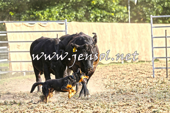 Taralga2015_1353