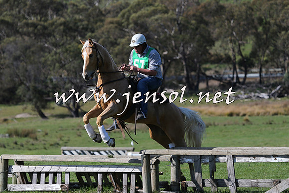 TumbarumbaStockmensChallenge_1610