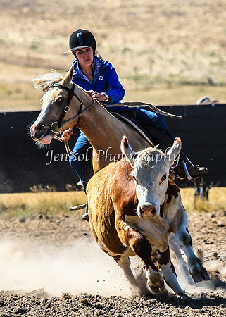 AdaminabyCampdraft2015_0140