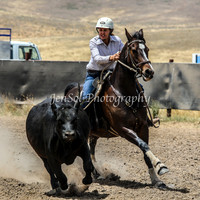 AdaminabyCampdraftSun2015_3060