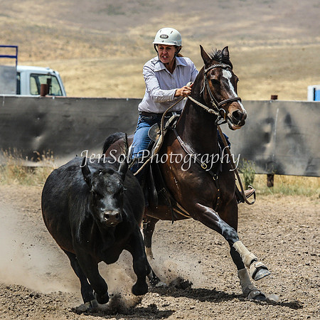 AdaminabyCampdraftSun2015_3060