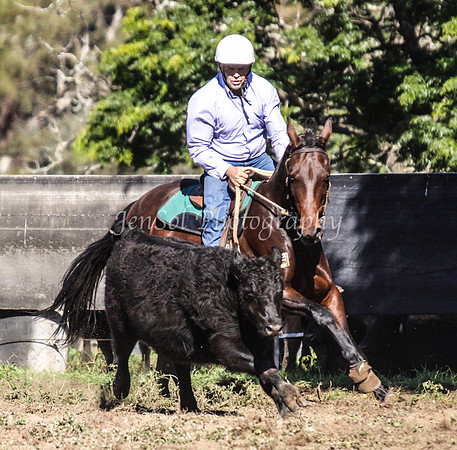 IMG_0380Jugiong1