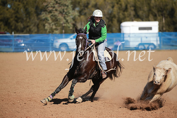 CCCampdraft2016_6177