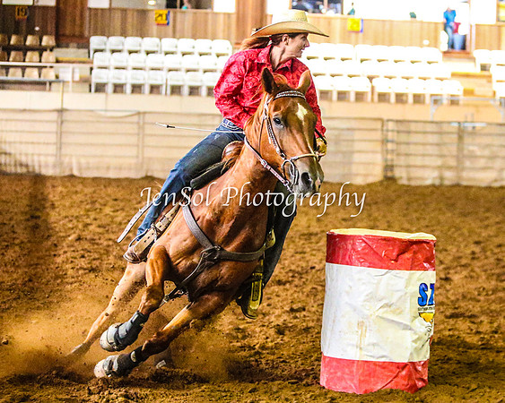 RealDealRodeoFeb2014_0339