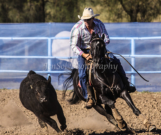 IMG_0151CCCSun