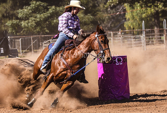 Dubbo2 103