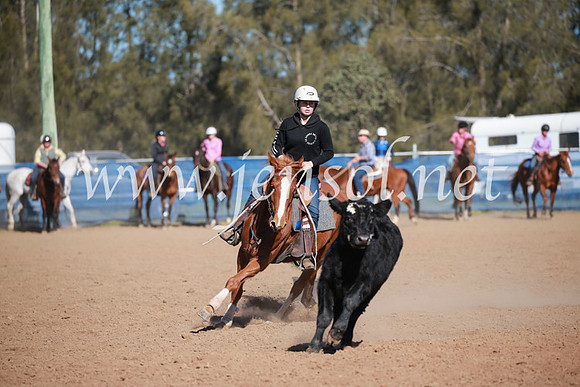CCCampdraft2016_6207