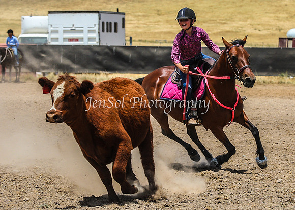AdaminabyCampdraftSun2015_3218