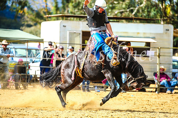 TumutRodeo2017_1677