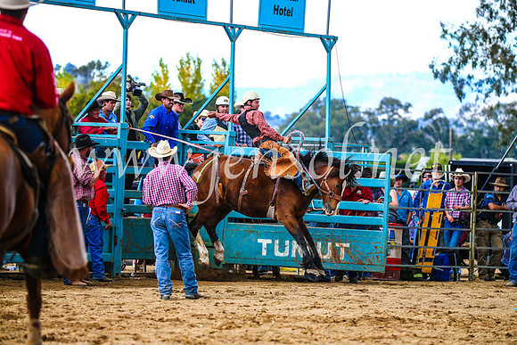 TumutRodeo2017_1487