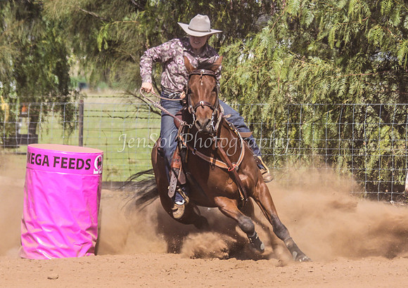 Dubbo2 247