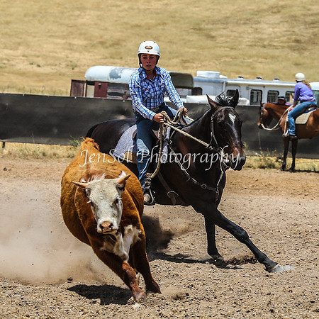AdaminabyCampdraftSun2015_3217