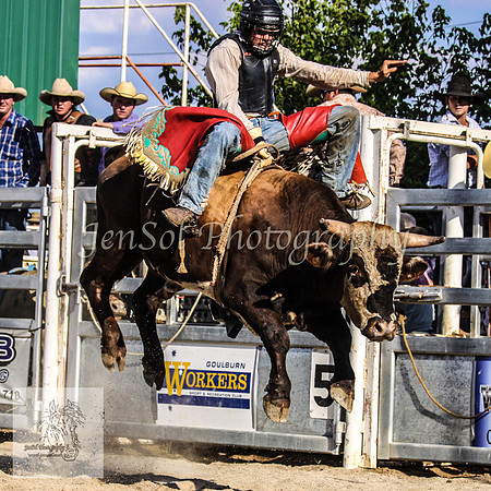 Goulburn 376