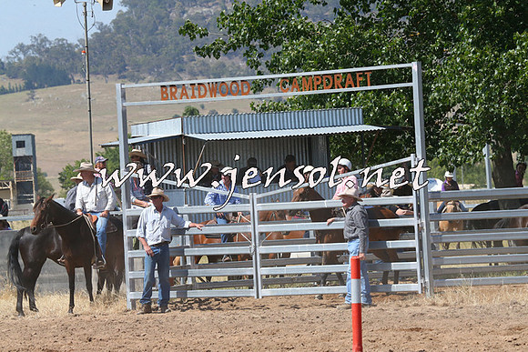 BraidwoodCampdraft2014_0625