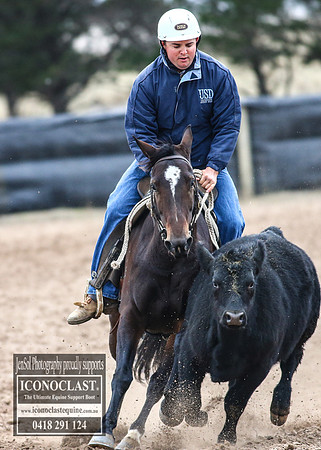 GoulburnCampdraft2018_7331