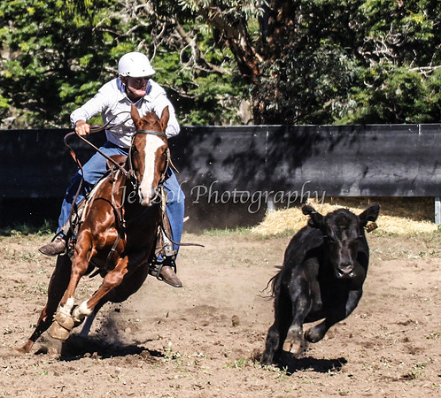 IMG_0402Jugiong1