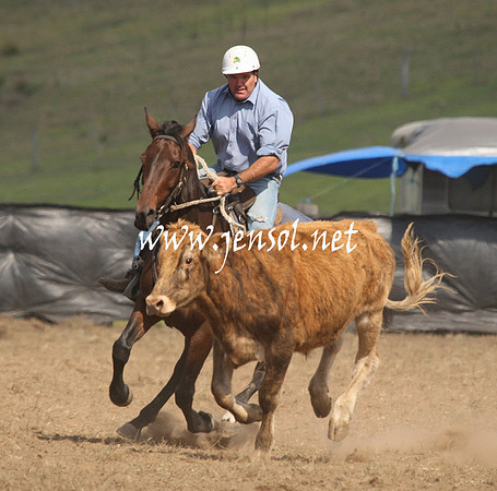 CabanandraCampdraft2013_1D_1143
