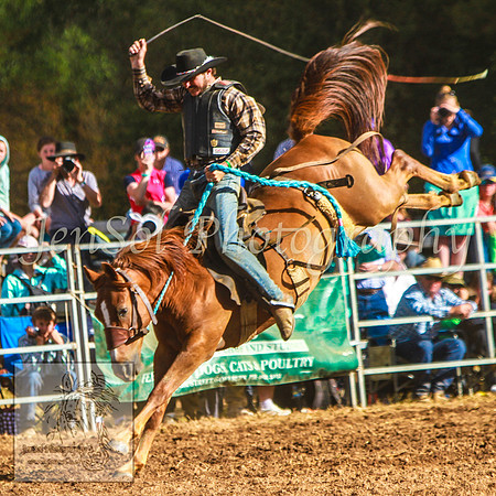 TaralgaRodeo2014_KJS_4683