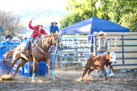 Breakaway Roping