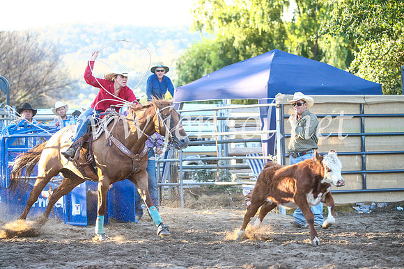 CoomaRodeo2017_3520