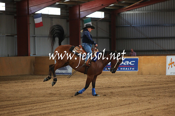nswrha_reininginthealps_0513