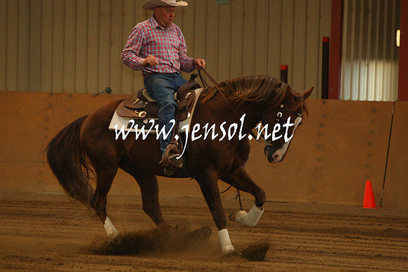 nswrha_reininginthealps_1595